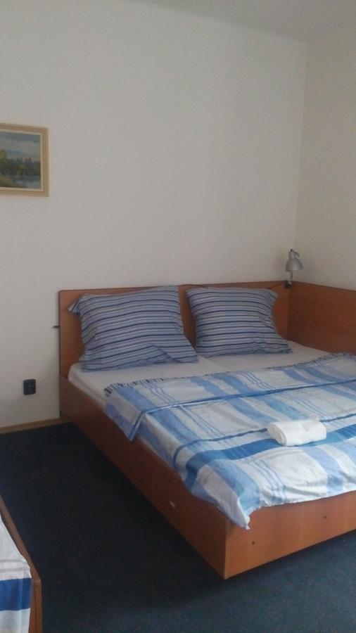 Hotel Britz Velké Hamry Buitenkant foto