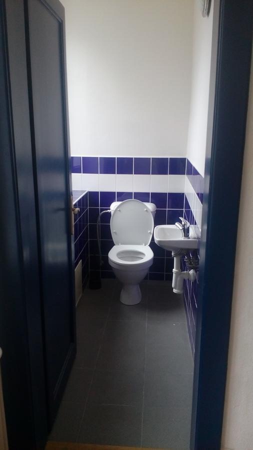Hotel Britz Velké Hamry Buitenkant foto
